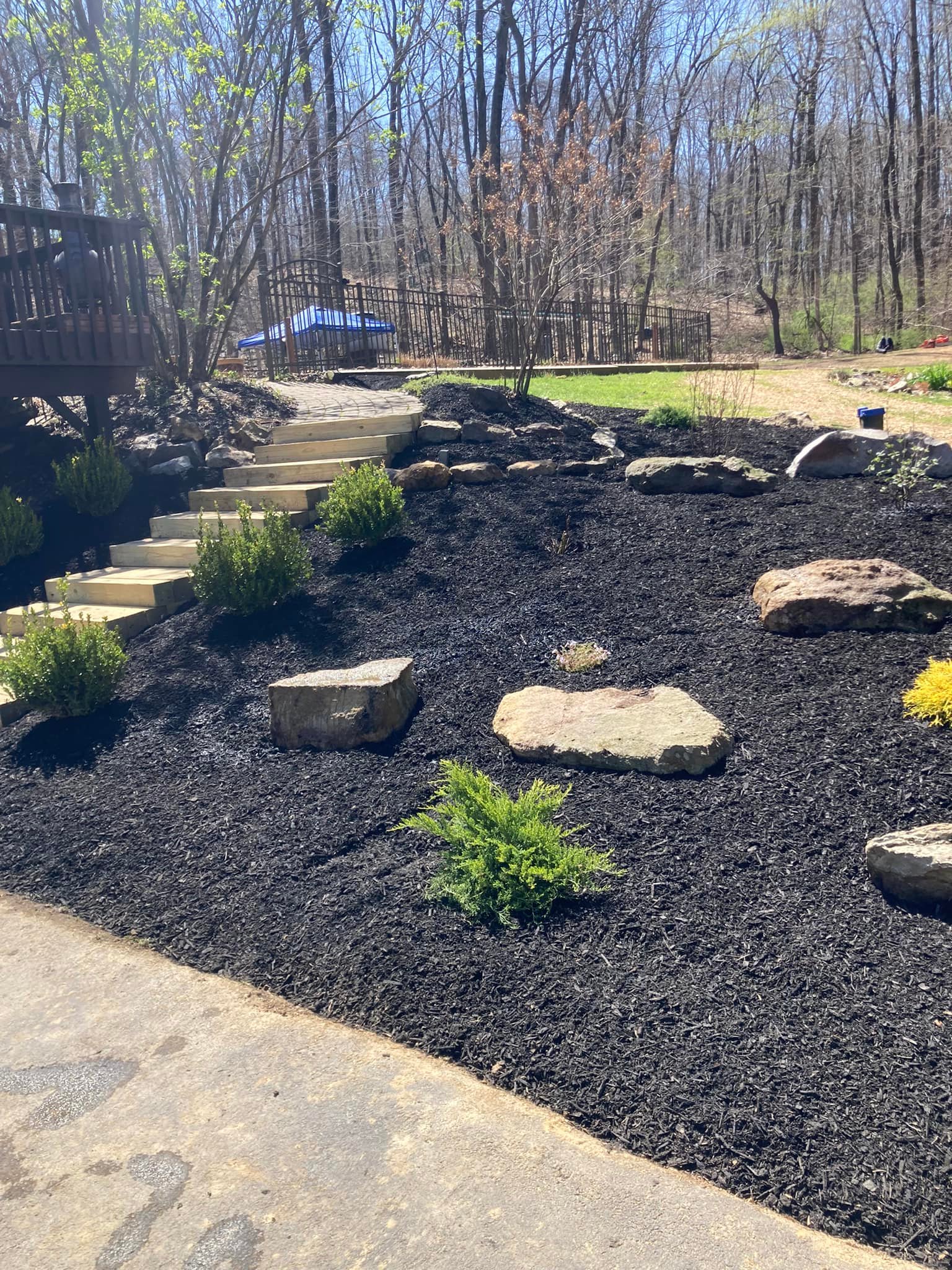 New Plants, Stone, and Mulch