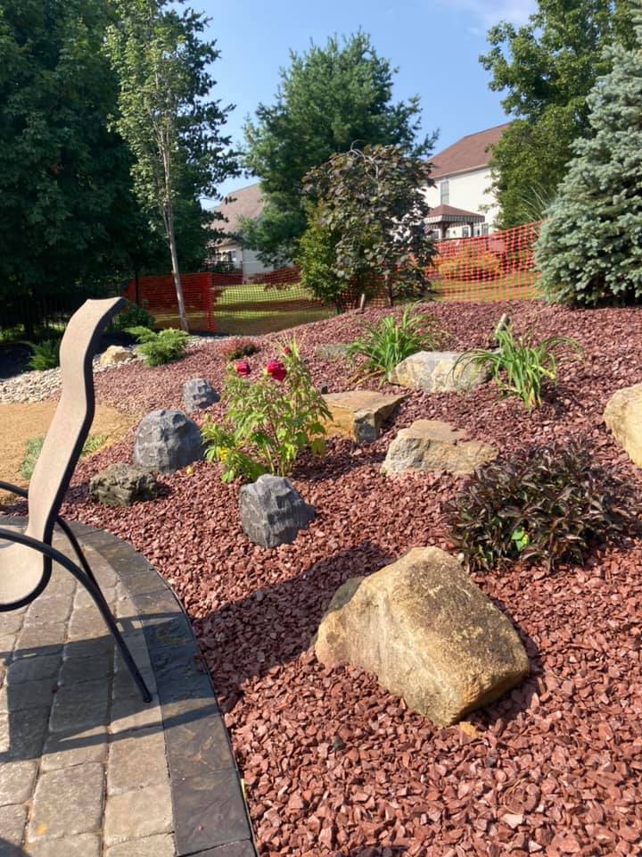 Shrub Planting